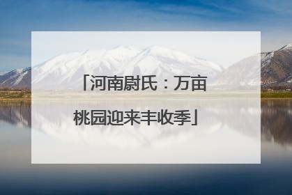 河南尉氏：万亩桃园迎来丰收季