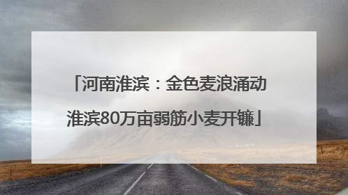 河南淮滨：金色麦浪涌动 淮滨80万亩弱筋小麦开镰