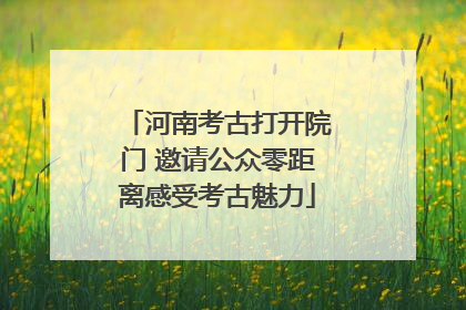 河南考古打开院门 邀请公众零距离感受考古魅力