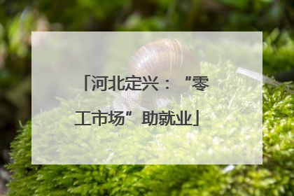 河北定兴：“零工市场”助就业
