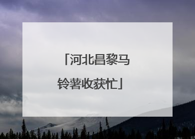 河北昌黎马铃薯收获忙