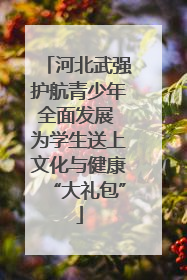 河北武强护航青少年全面发展 为学生送上文化与健康“大礼包”