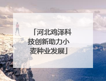 河北鸡泽科技创新助力小麦种业发展