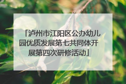 泸州市江阳区公办幼儿园优质发展第七共同体开展第四次研修活动