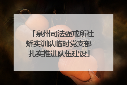 泉州司法强戒所社矫实训队临时党支部扎实推进队伍建设