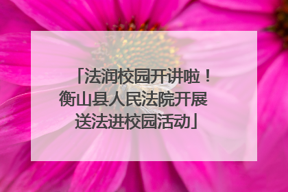 法润校园开讲啦！衡山县人民法院开展 送法进校园活动