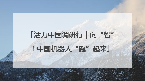 活力中国调研行｜向“智”！中国机器人“跑”起来