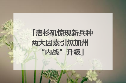 洛杉矶惊现新兵种 两大因素引爆加州“内战”升级