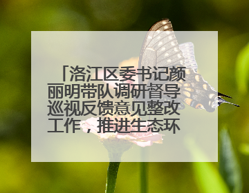 洛江区委书记颜丽明带队调研督导巡视反馈意见整改工作，推进生态环境保护建设