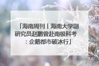 海南周刊丨海南大学副研究员赵鹏曾赴南极科考：企鹅都市破冰行