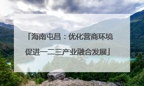 海南屯昌：优化营商环境 促进一二三产业融合发展