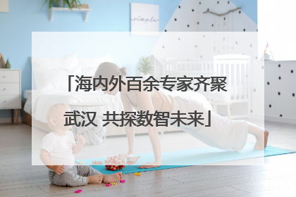 海内外百余专家齐聚武汉 共探数智未来