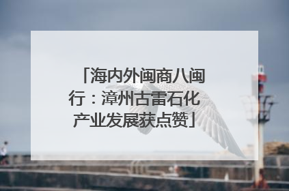 海内外闽商八闽行：漳州古雷石化产业发展获点赞