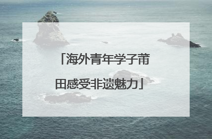 海外青年学子莆田感受非遗魅力