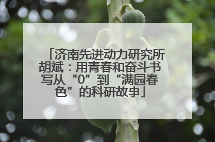 济南先进动力研究所胡斌：用青春和奋斗书写从“0”到“满园春色”的科研故事