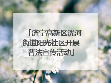 济宁高新区洸河街道阳光社区开展普法宣传活动