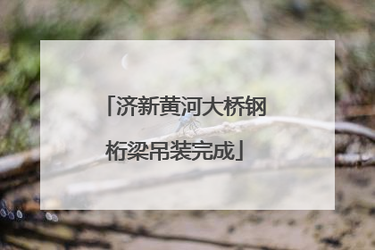 济新黄河大桥钢桁梁吊装完成