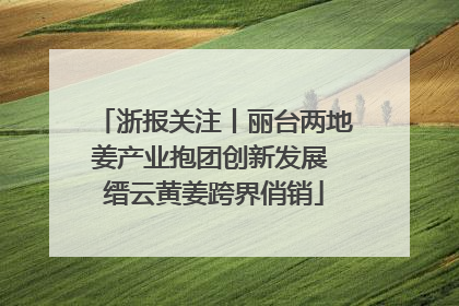 浙报关注丨丽台两地姜产业抱团创新发展 缙云黄姜跨界俏销