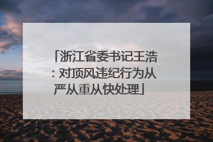 浙江省委书记王浩：对顶风违纪行为从严从重从快处理