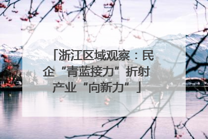 浙江区域观察：民企“青蓝接力”折射产业“向新力”
