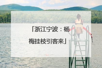 浙江宁波：杨梅挂枝引客来