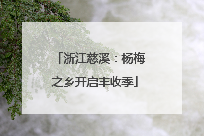 浙江慈溪：杨梅之乡开启丰收季