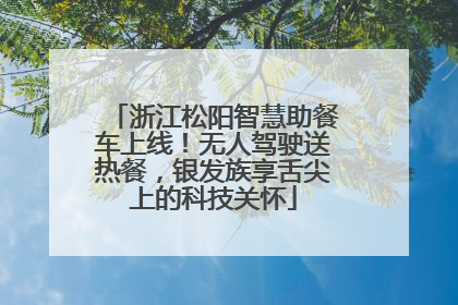 浙江松阳智慧助餐车上线！无人驾驶送热餐，银发族享舌尖上的科技关怀