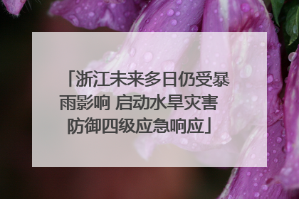浙江未来多日仍受暴雨影响 启动水旱灾害防御四级应急响应