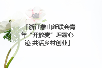 浙江象山新联会青年“开放麦”坦露心迹 共话乡村创业