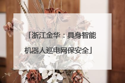 浙江金华：具身智能机器人巡电网保安全