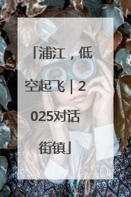 浦江，低空起飞｜2025对话街镇