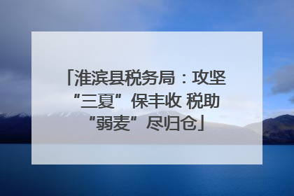 淮滨县税务局：攻坚“三夏”保丰收 税助“弱麦”尽归仓