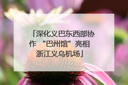 深化义巴东西部协作 “巴州馆”亮相浙江义乌机场