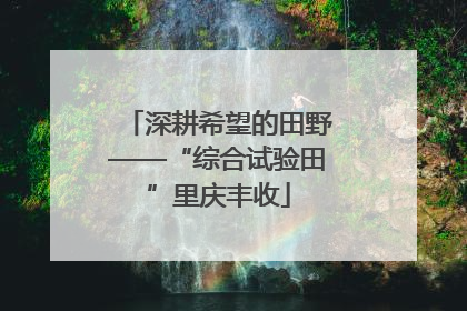 深耕希望的田野——“综合试验田”里庆丰收