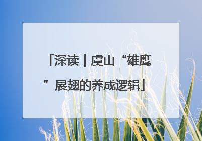深读｜虞山“雄鹰”展翅的养成逻辑