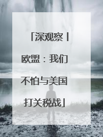 深观察丨欧盟：我们不怕与美国打关税战