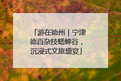 游在德州｜宁津德百杂技蟋蟀谷，沉浸式文旅盛宴