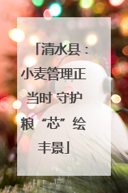 清水县：小麦管理正当时 守护粮“芯”绘丰景