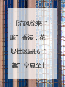 清风徐来“廉”香漫，花堤社区居民“趣”享夏至