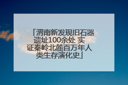 渭南新发现旧石器遗址100余处 实证秦岭北麓百万年人类生存演化史