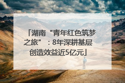 湖南“青年红色筑梦之旅”：8年深耕基层创造效益近5亿元