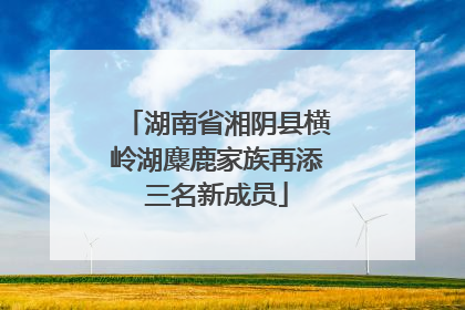 湖南省湘阴县横岭湖麋鹿家族再添三名新成员