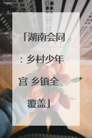 湖南会同：乡村少年宫 乡镇全覆盖