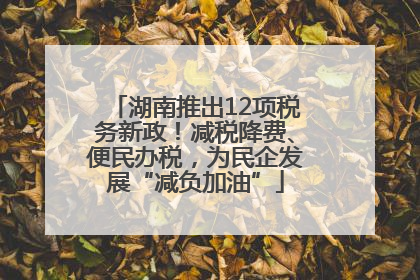 湖南推出12项税务新政！减税降费、便民办税，为民企发展“减负加油”