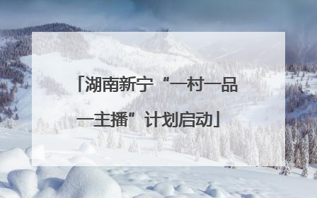 湖南新宁“一村一品一主播”计划启动