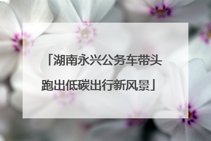 湖南永兴公务车带头跑出低碳出行新风景