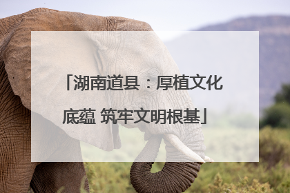湖南道县：厚植文化底蕴 筑牢文明根基