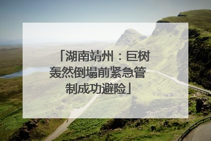 湖南靖州：巨树轰然倒塌前紧急管制成功避险