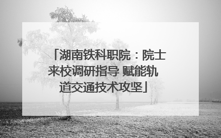 湖南铁科职院：院士来校调研指导 赋能轨道交通技术攻坚