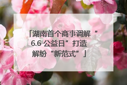 湖南首个商事调解“6.6 公益日”打造解纷“新范式”